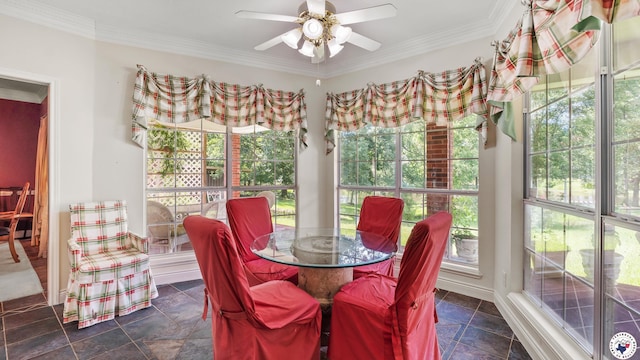 5906 Winchester Dr, Texarkana, TX 75503 - dining space featuring a ceiling fan, dark stone finish floors, and ornamental molding