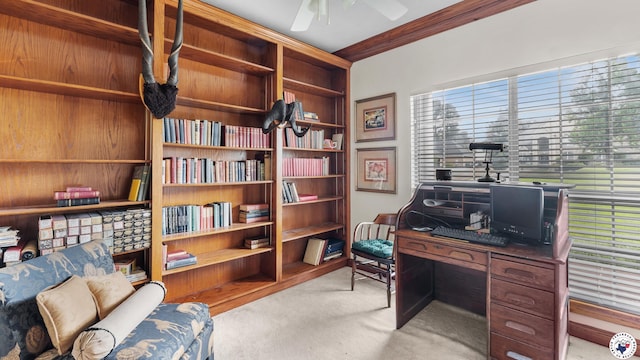 5906 Winchester Dr, Texarkana, TX 75503 - office with carpet and a ceiling fan