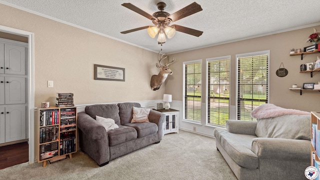 509 Brown Dr, Wake Village, TX 75501 - carpeted living area featuring a ceiling fan, crown molding, and a textured ceiling