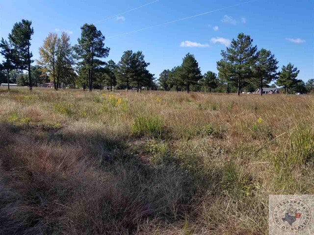 410 Mockingbird, Hooks, TX 75561