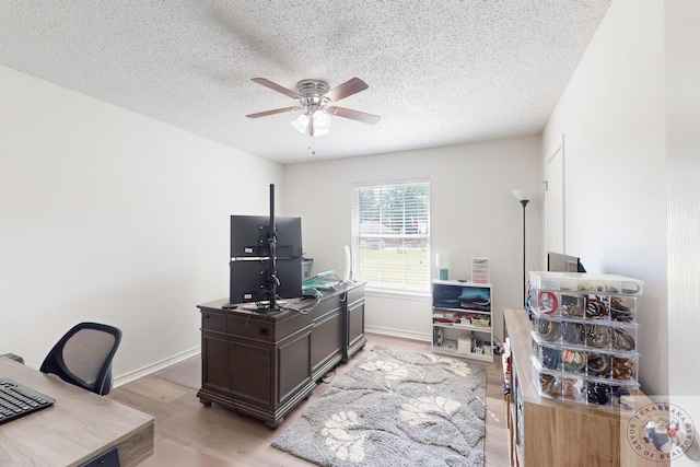 office space with light wood-type flooring, a textured ceiling, and ceiling fan