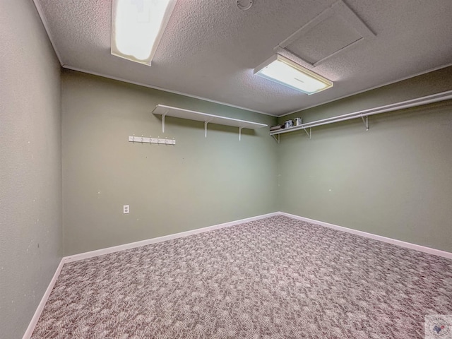 interior space with a textured ceiling and carpet flooring