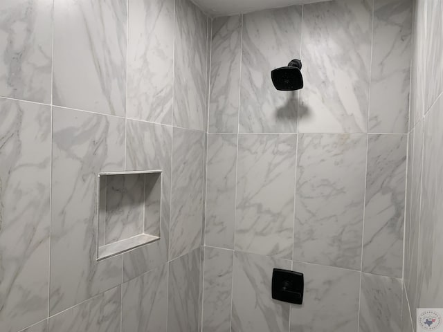 interior details with tiled shower