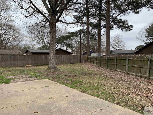 view of yard with a patio and a fenced backyard