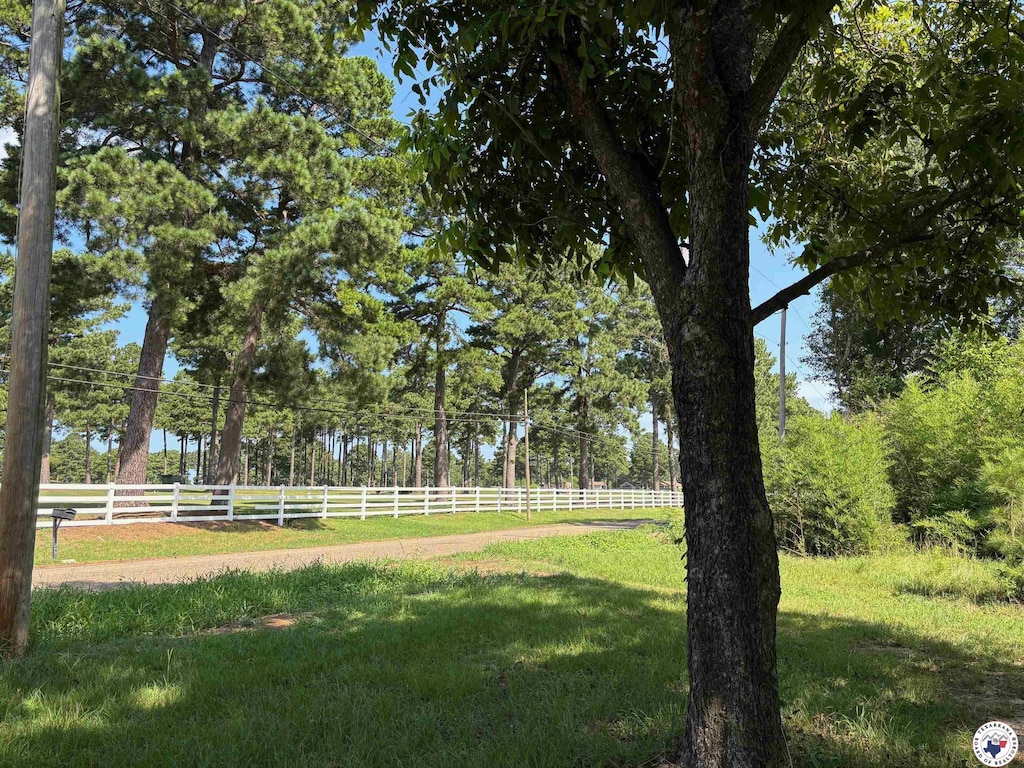 2214 Line Fry, Texarkana, AR 71854 - view of yard