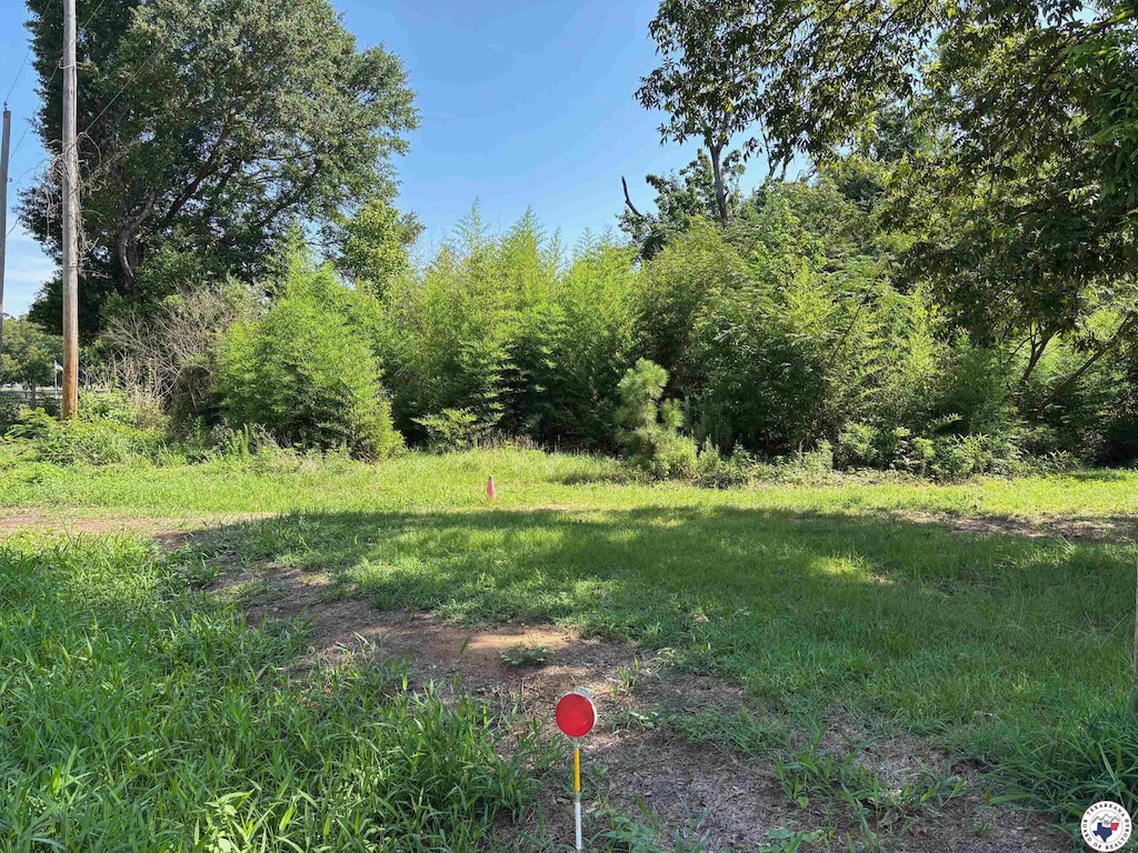 2214 Line Fry, Texarkana, AR 71854 - view of yard