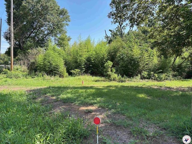 2214 Line Fry, Texarkana, AR 71854 - view of yard