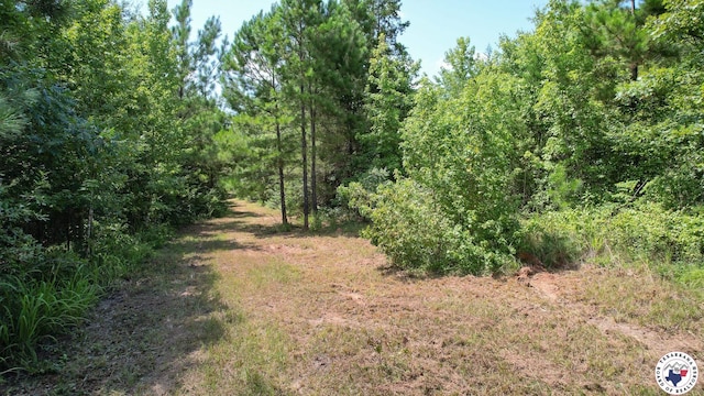 TBD County Road 3214, Atlanta, TX 75551 - photo 14