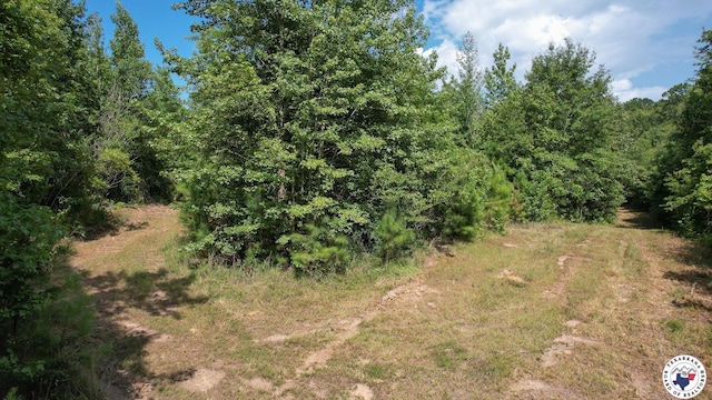 TBD County Road 3214, Atlanta, TX 75551 - photo 2