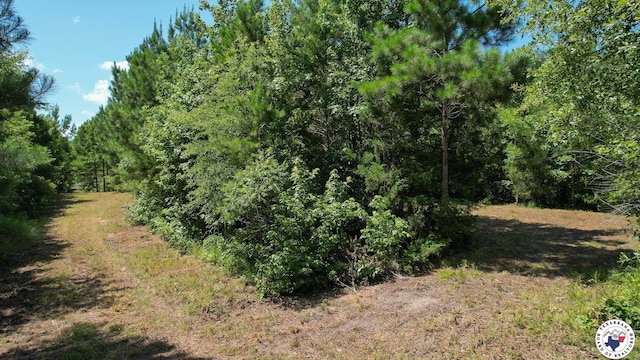 TBD County Road 3214, Atlanta, TX 75551 - photo 9
