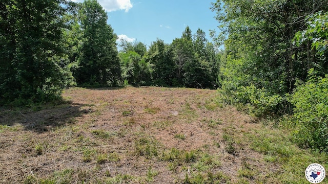 TBD County Road 3214, Atlanta, TX 75551 - photo 3