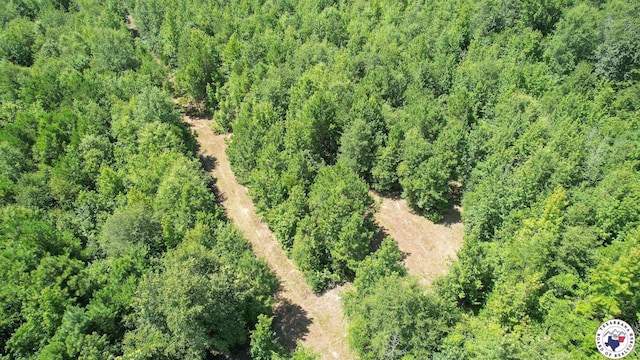 TBD County Road 3214, Atlanta, TX 75551 - photo 13