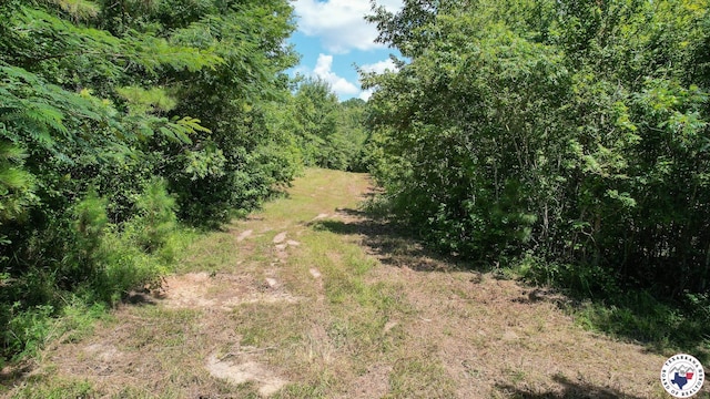 TBD County Road 3214, Atlanta, TX 75551 - photo 8