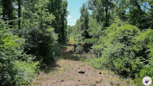 TBD County Road 3214, Atlanta, TX 75551 - photo 18