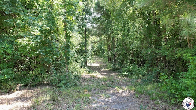 TBD County Road 3214, Atlanta, TX 75551 - photo 10