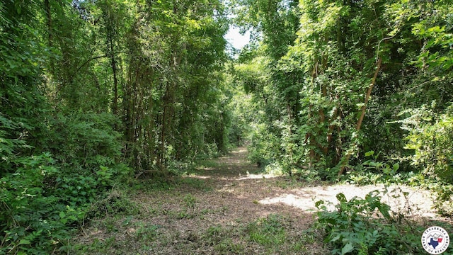 TBD County Road 3214, Atlanta, TX 75551 - photo 21
