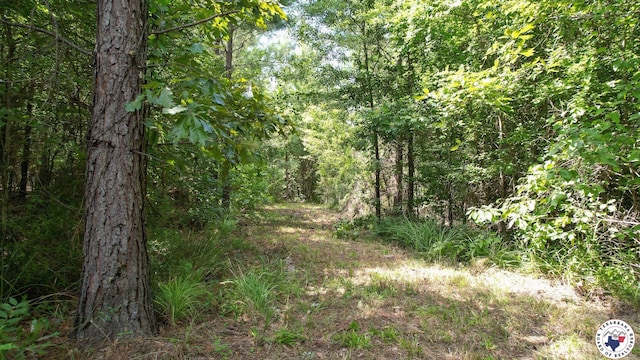 TBD County Road 3214, Atlanta, TX 75551 - photo 22