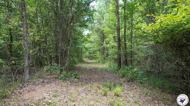 TBD County Road 3214, Atlanta, TX 75551 - photo 23