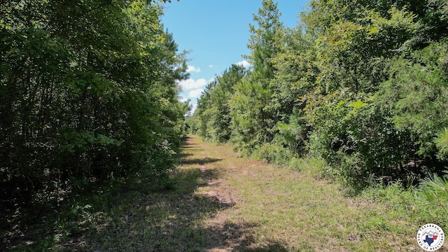 TBD County Road 3214, Atlanta, TX 75551 - photo 7