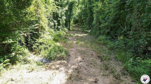 TBD County Road 3214, Atlanta, TX 75551 - photo 15