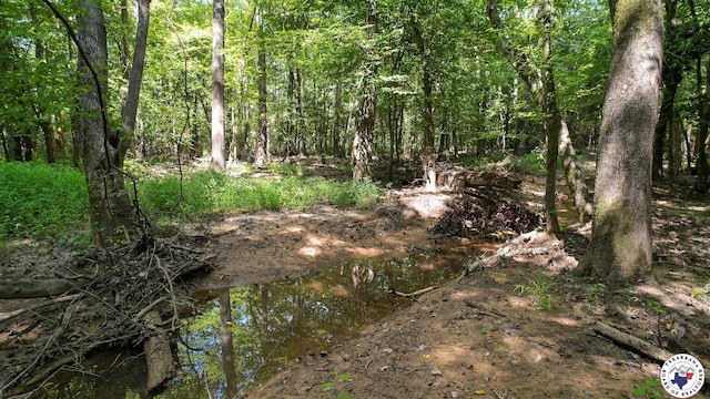 TBD County Road 3214, Atlanta, TX 75551 - photo 26