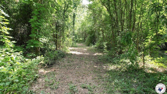 TBD County Road 3214, Atlanta, TX 75551 - photo 16