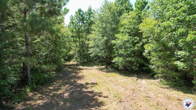 TBD County Road 3214, Atlanta, TX 75551 - photo 11