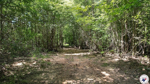 TBD County Road 3214, Atlanta, TX 75551 - photo 24