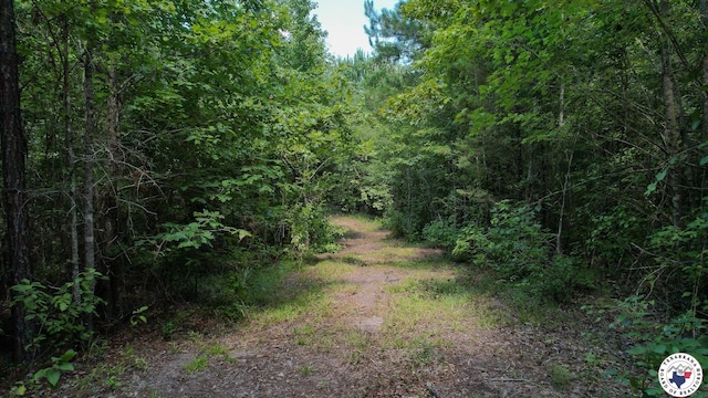TBD County Road 3214, Atlanta, TX 75551 - photo 6