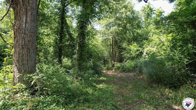 TBD County Road 3214, Atlanta, TX 75551 - photo 20