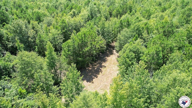 TBD County Road 3214, Atlanta, TX 75551 - photo 12