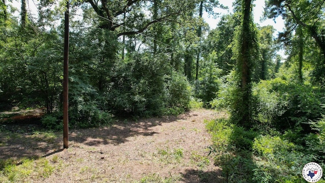 TBD County Road 3214, Atlanta, TX 75551 - photo 17