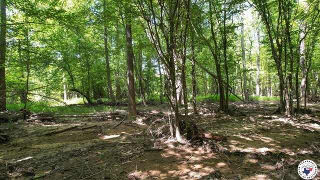 TBD County Road 3214, Atlanta, TX 75551 - photo 25