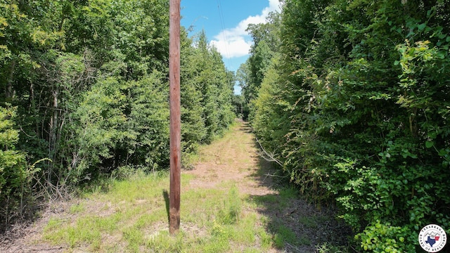 TBD County Road 3214, Atlanta, TX 75551 - photo 19