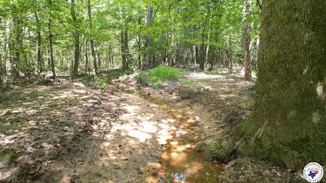 TBD County Road 3214, Atlanta, TX 75551 - photo 27