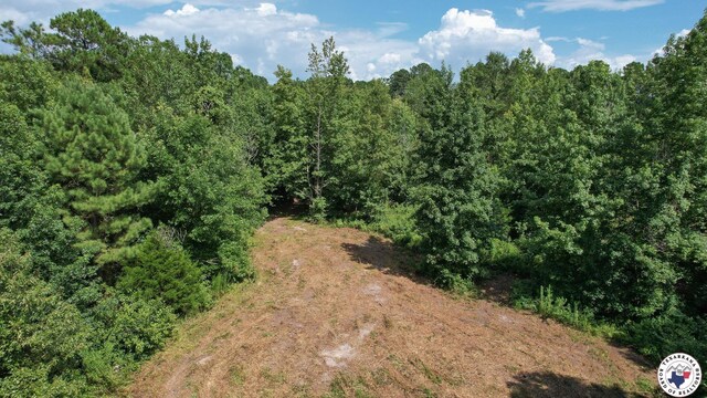 TBD County Road 3214, Atlanta, TX 75551 - photo 1