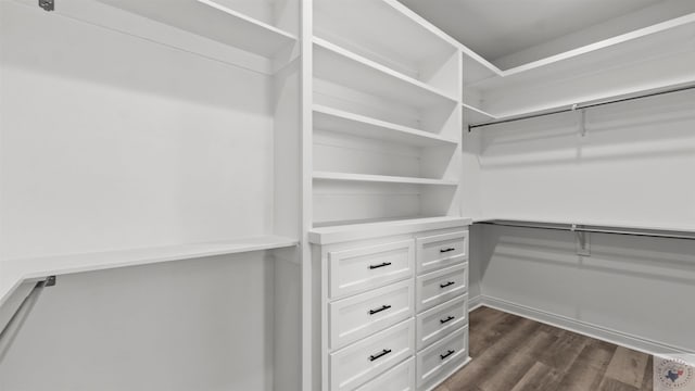 spacious closet featuring dark hardwood / wood-style flooring