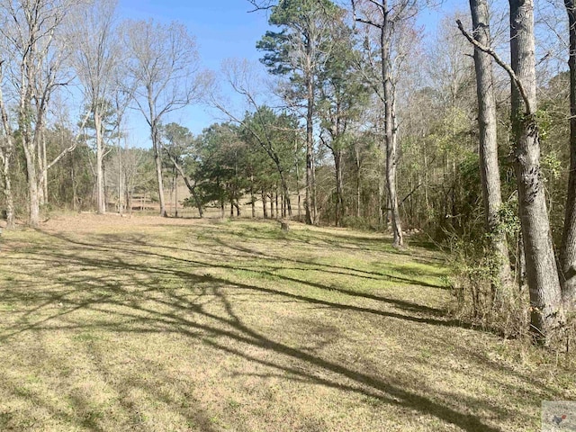 6848 Fm 995, Douglassville, TX 75560 - photo 26