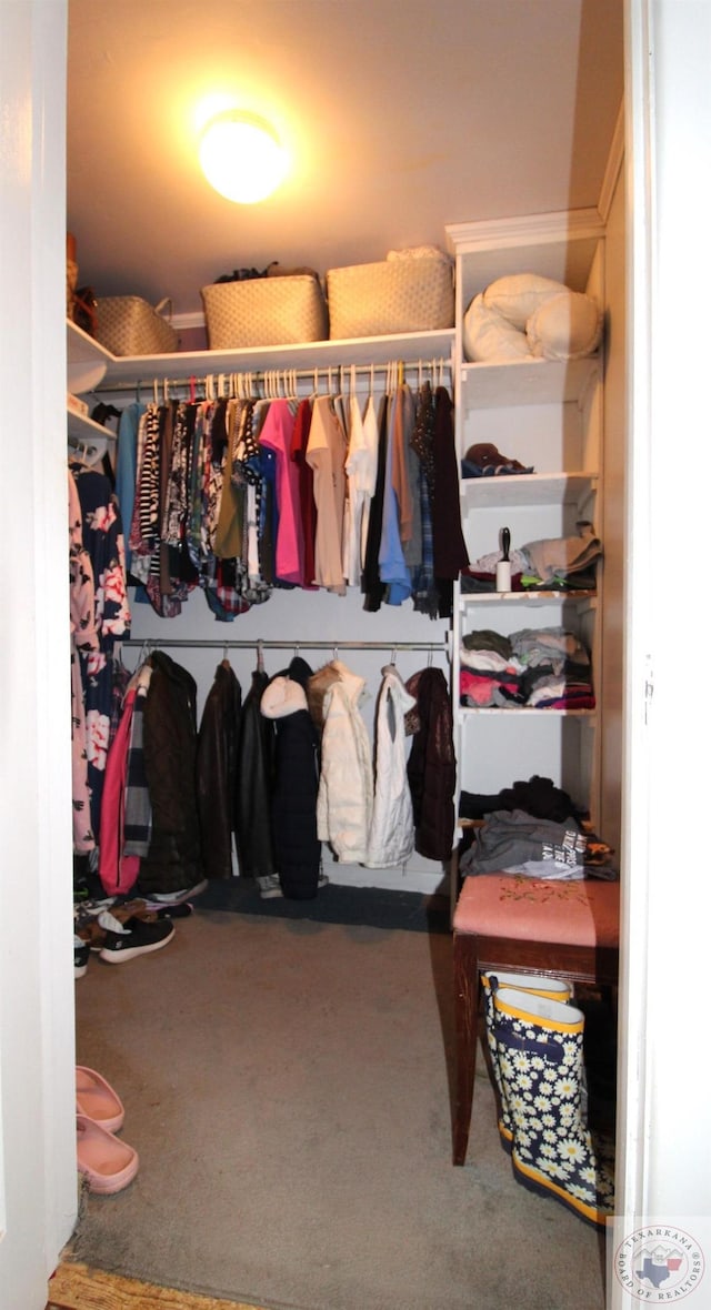 spacious closet with carpet