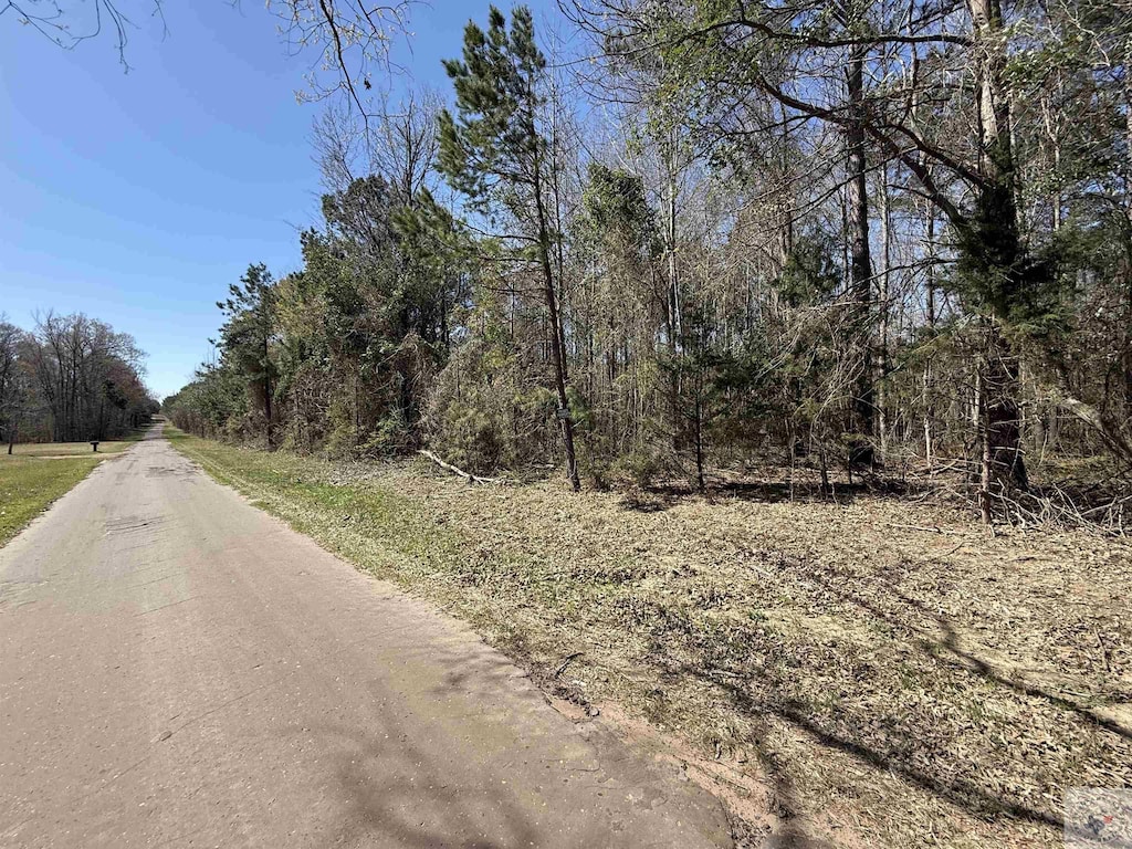 TBD County Road 3993, Bloomburg, TX 75556 - photo 1
