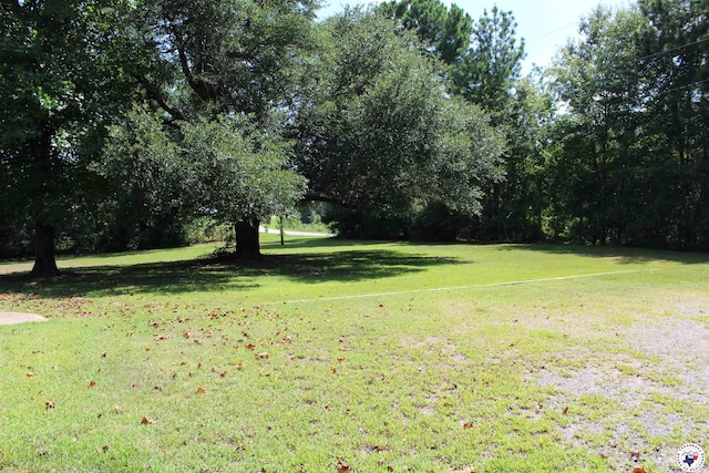 484 US Highway 259 N, Dekalb, TX 75559 - photo 24