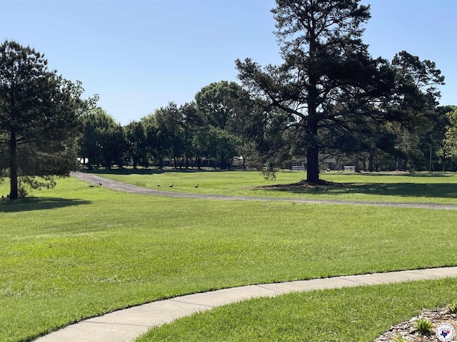 701 Tri State Rd, Texarkana, TX 75501 - view of property's community featuring a yard