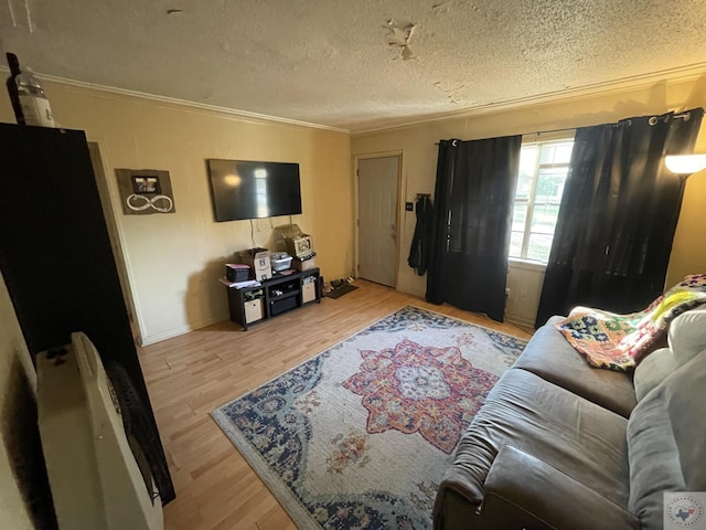 living room featuring a textured ceiling, crown molding, and light wood-type flooring