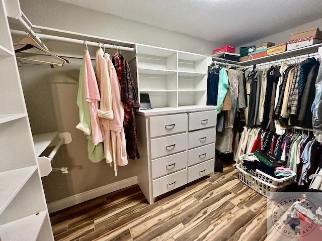 spacious closet featuring hardwood / wood-style floors