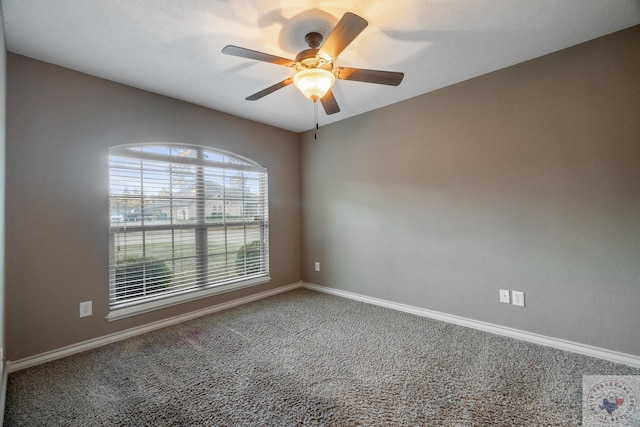 empty room featuring ceiling fan and carpet floors