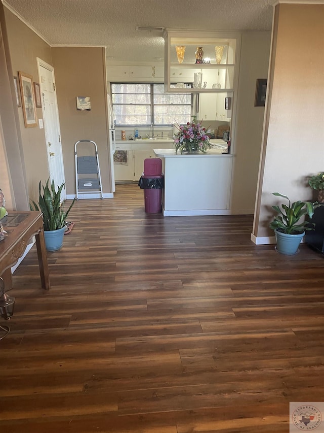 interior space featuring sink, a textured ceiling, and dark hardwood / wood-style floors