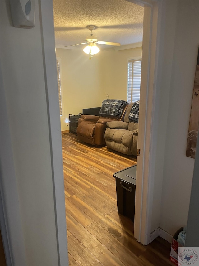 living room with ceiling fan, a textured ceiling, and light hardwood / wood-style flooring