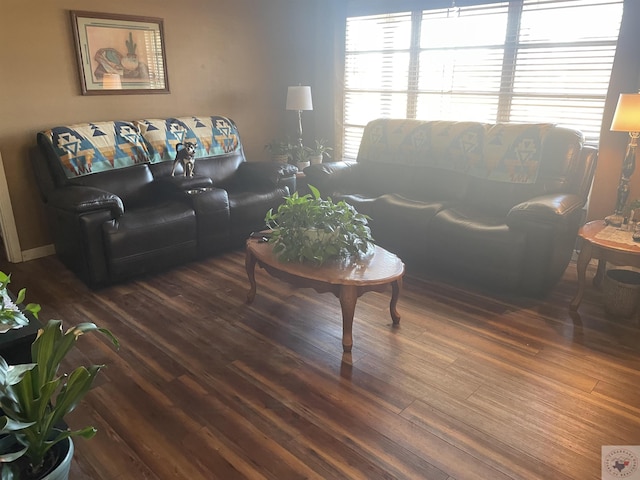 living room featuring dark wood-type flooring