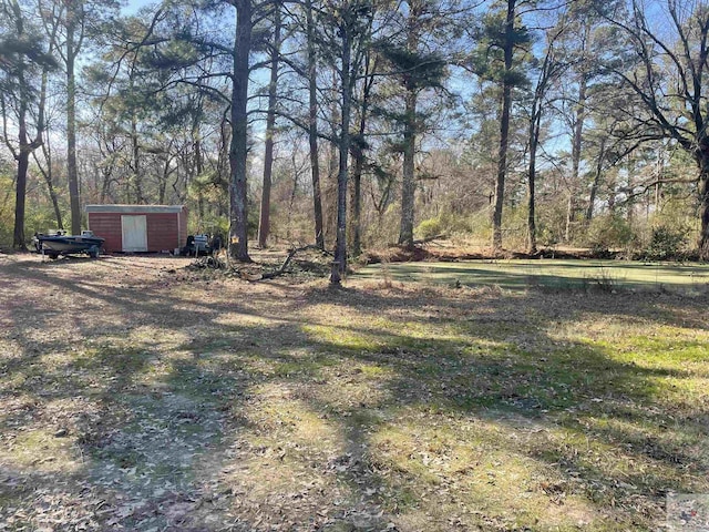 view of yard with a shed