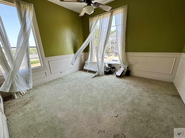 spare room with ceiling fan, carpet, and ornamental molding